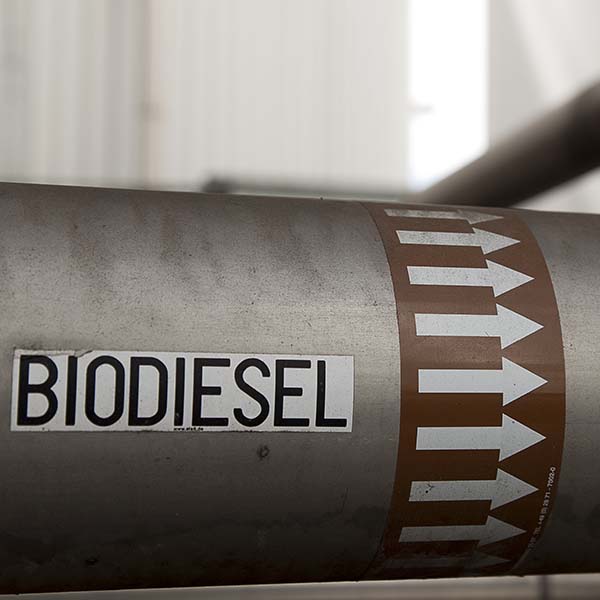 Reningslösningar för biodiesel