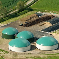 Biogas